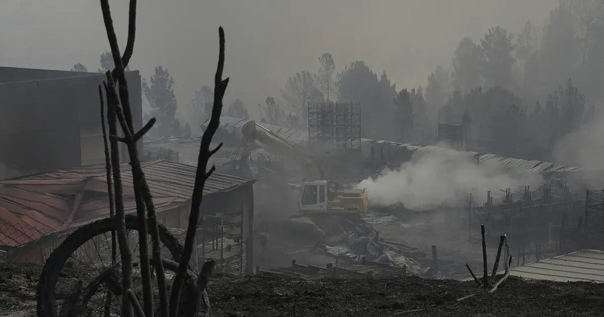 Incendies - Les Pertes Économiques Liées Aux Incendies De Cet Été Dépassent Déjà Neuf Fois Celles De Toute L'Année 2024 : "Nous Allons Mettre Des Années À Nous Récupérer"