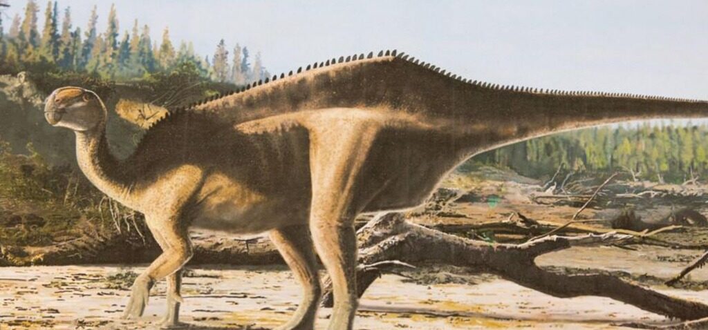 dinosaure - Un nouveau dinosaure nommé d'après un marin recordman