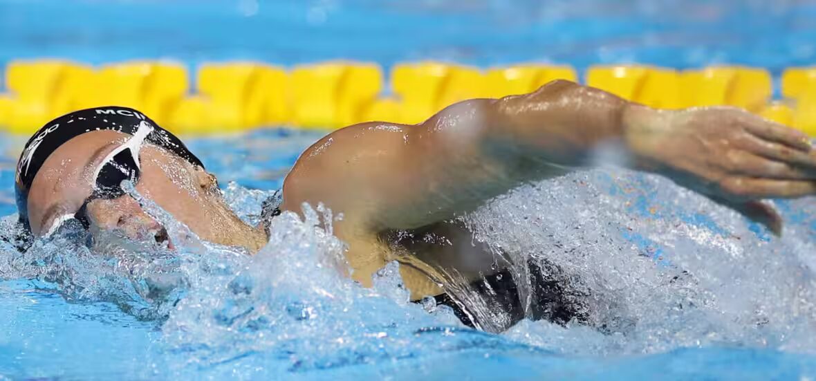 natation - Regardez la couverture en direct des finales de natation aux Championnats du Monde de Natation