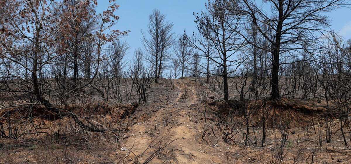 Pompiers - « Des Conditions Proches Du Jour De L’incendie » : Pourquoi Les Pompiers De L’Aude Redoutent Une Reprise Du Feu Ce Dimanche ?