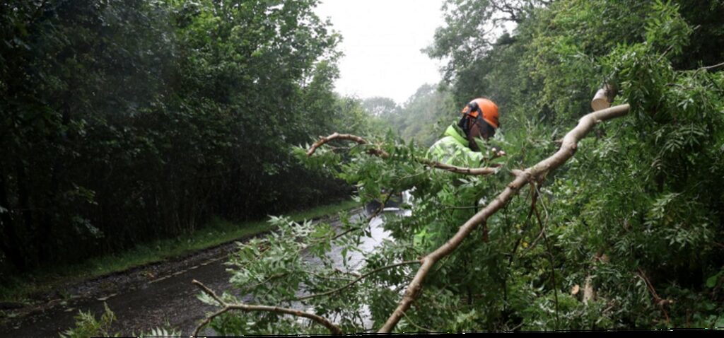 Tempête - Tempête Floris : Retour à la normale après les coupures de courant et les perturbations de voyage
