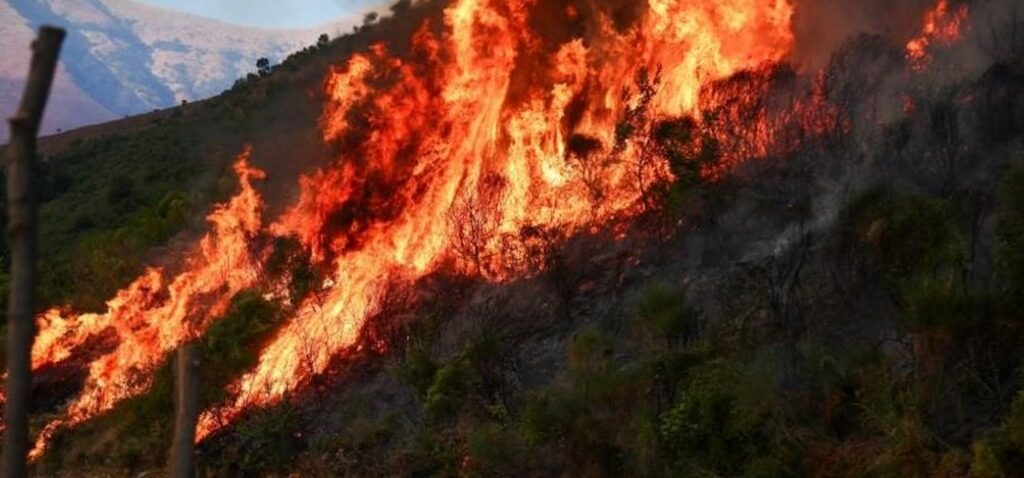 incendies - Des incendies de forêt ravagent le sud de l'Europe alors que les températures dépassent 40 °C