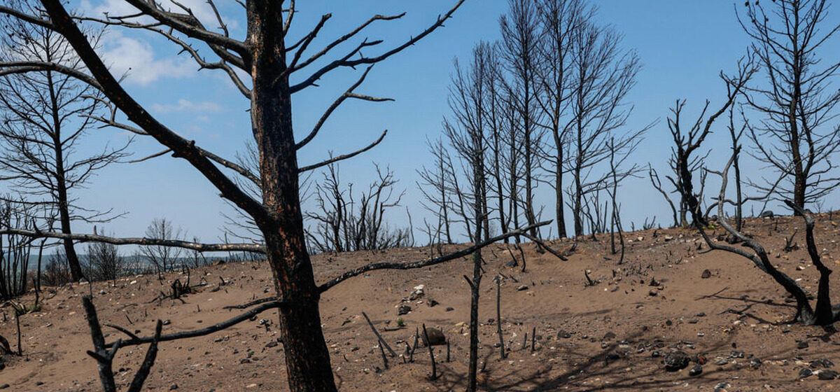 Aude - Feux de forêts : Risque « extrême » pour l'Aude ce dimanche, 1 200 pompiers en alerte