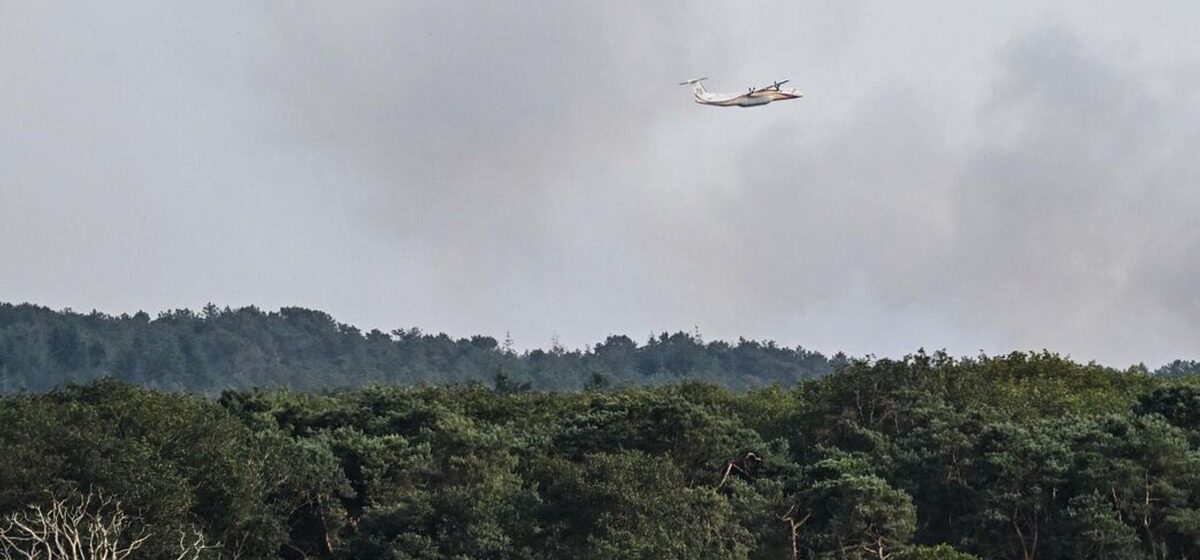 incendies - Un homme sous enquête pour plusieurs incendies, y compris celui de la forêt de Brocéliande