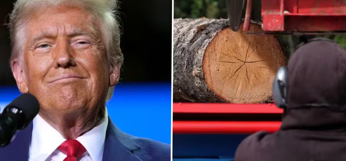 produits - Trump affirme que les importations de produits en bois pourraient constituer une menace pour la sécurité nationale — suscitant des inquiétudes en Colombie-Britannique.