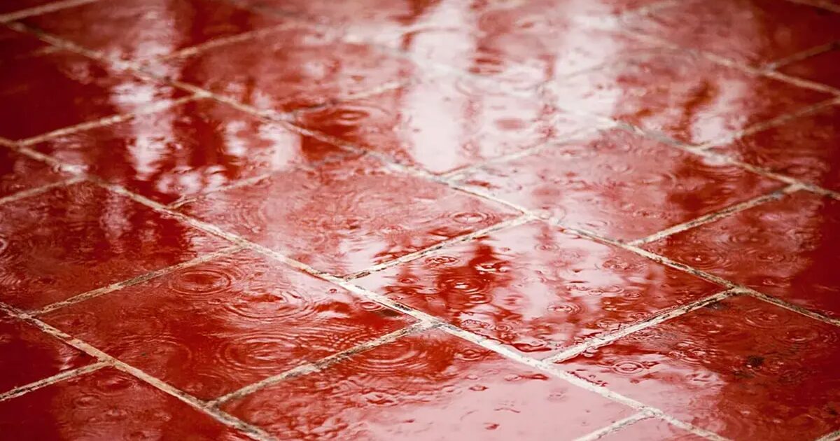 Coûts - Terremoto dans les Communautés de Voisins : Doivent-elles Assumer les Coûts des Fuites des Terrasses Privées dans Ces Cas ?
