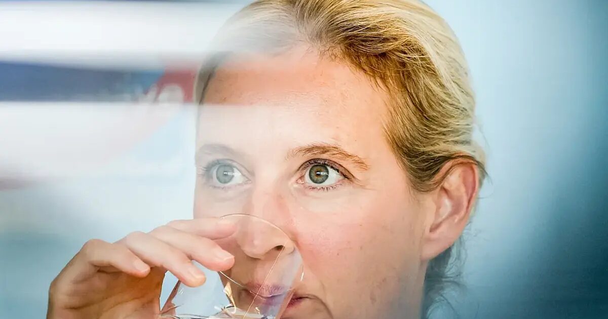 élections - L'AFD triple ses résultats lors des élections municipales dans l'État le plus peuplé d'Allemagne