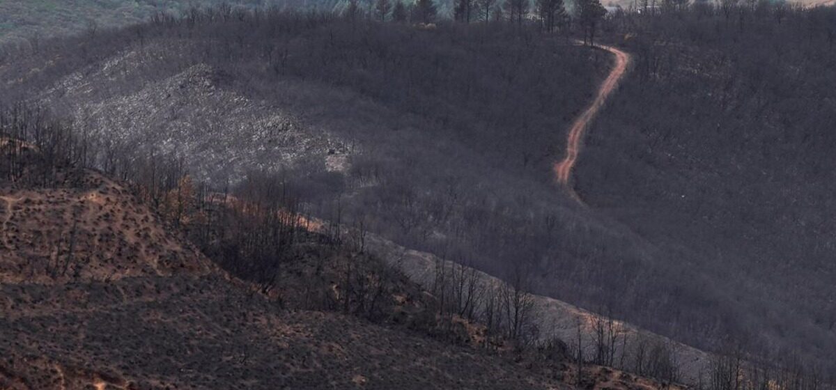 incendies - « Cet épisode terrible est en train de se refermer » : La lutte contre les incendies en Espagne touche à sa fin.