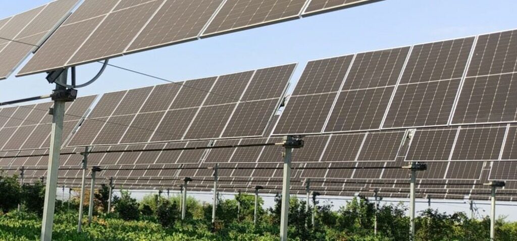 agriculture - L'agriculture sous panneaux solaires va-t-elle se développer ?