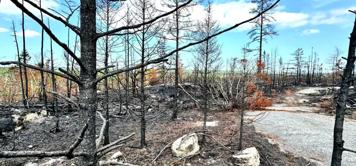 amendes - N.S. a distribué plus de 1 M$ en amendes pour interdiction de feu. Combien a réellement été collecté ?
