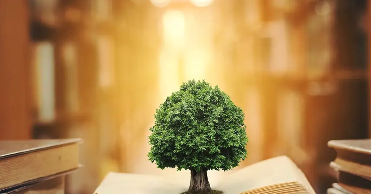 durabilité - La simplification européenne de la réglementation sur la durabilité : des solutions sans cohérence