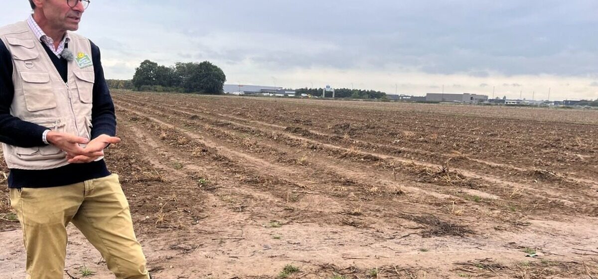 Ferme - « Si l'État nous exproprie, c'est par facilité » : La Ferme Cueillette de Servigny menacée à Lieusaint