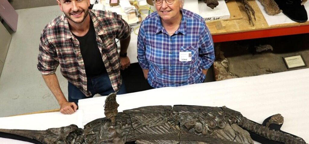 dragon - Une fossil trouvée sur la côte de Dorset est une espèce unique de « dragon épée »