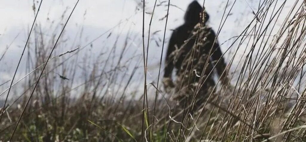 agriculteurs - « Des gangs en cagoules s'en prennent à notre moissonneuse-batteuse : les agriculteurs saluent la répression de la criminalité rurale »