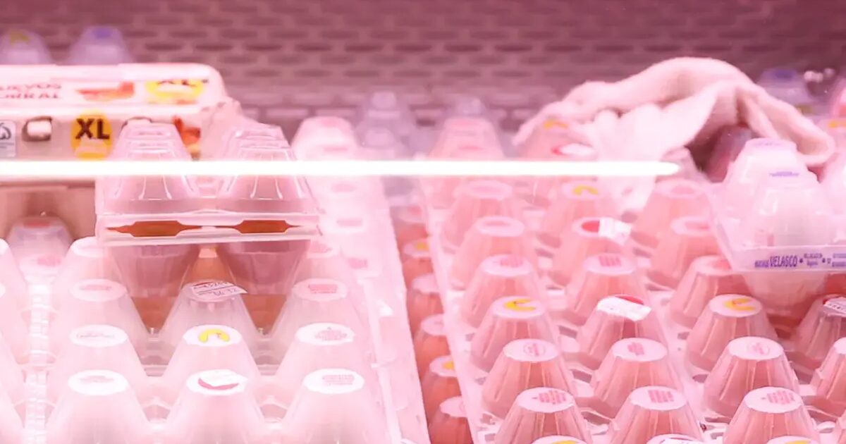 Surtiment - Mercadona Modifie Temporairement Son Surtiment D'œufs En Raison De La Grippe Aviaire