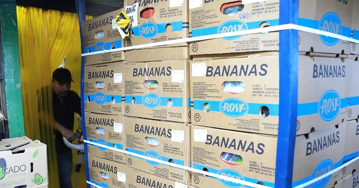 bœuf - Trump supprime les droits de douane sur la viande de bœuf, les tomates, les bananes et le café