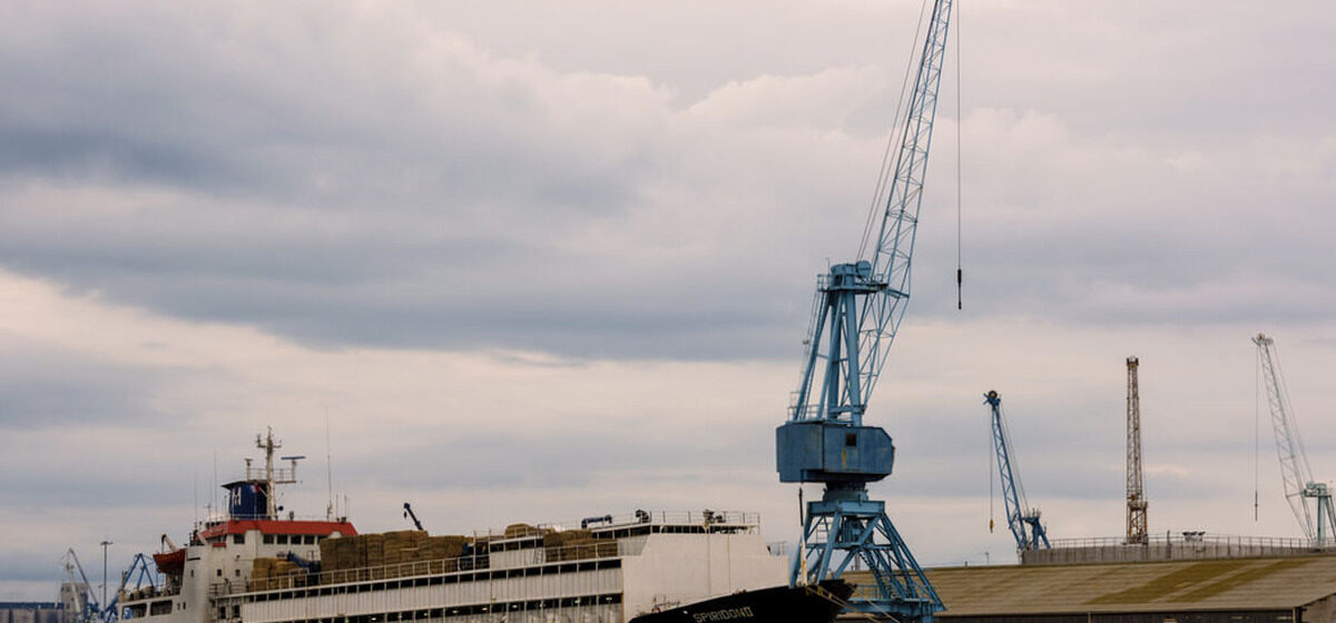 animaux - « Une odeur pestilentielle » : Au moins 58 animaux morts sur un cargo bloqué au large de la Turquie