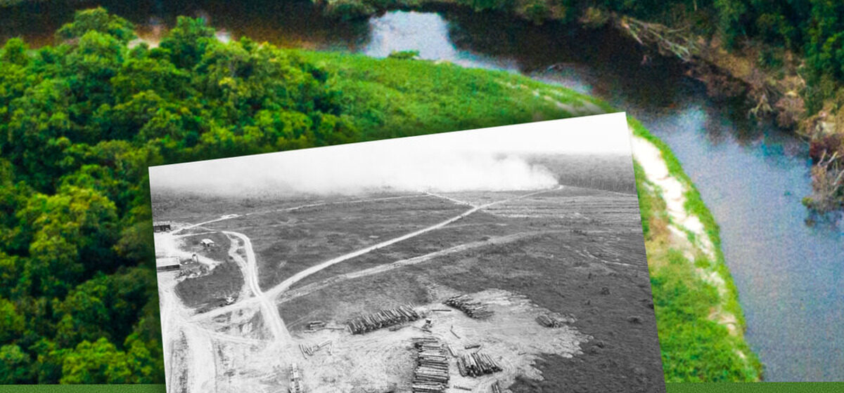 forêt - COP30 à Belém : Pourquoi la forêt amazonienne, poumon de la planète, est-elle en danger ?