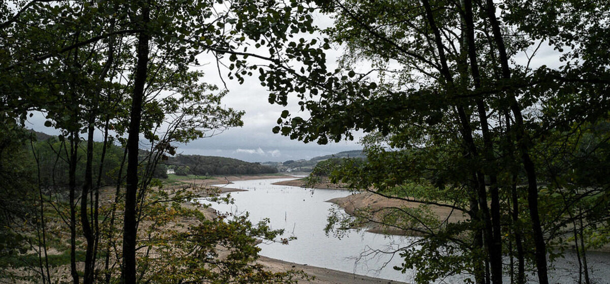 Ado - Travail Forcé : Un Ado Hollandais Retrouvé Dans Le Morvan « Dans Un État Qui A Tout Lieu D’interpeller »