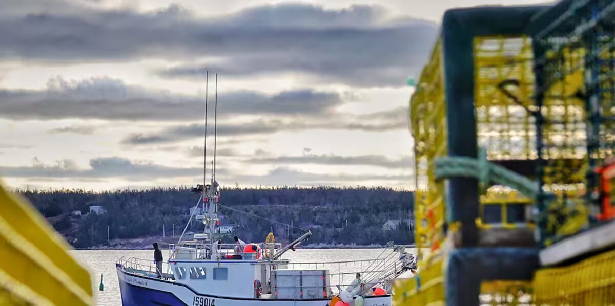 députés - Des députés conservateurs remettent en question la base de l'objectif de 30 % d'aires marines protégées
