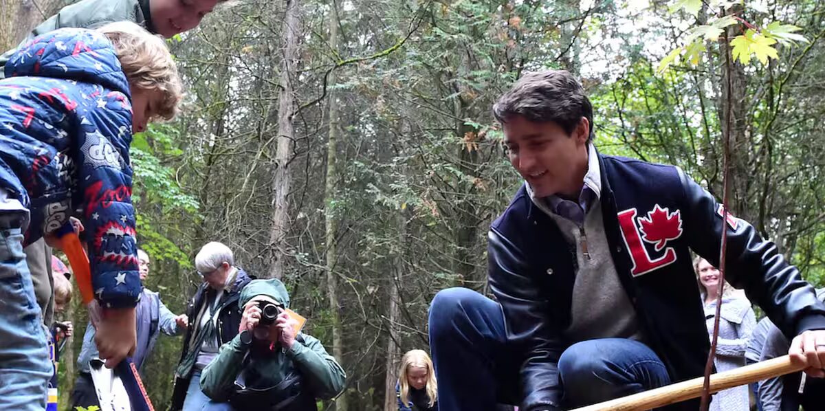 arbres - Les libéraux abandonnent l'objectif de planter 2 milliards d'arbres dans le cadre du budget : sources