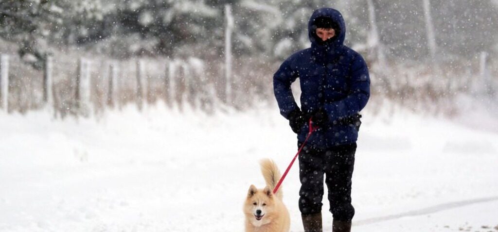 gel - Alerte au gel dans certaines régions du Royaume-Uni alors qu'une vague de froid s'installe