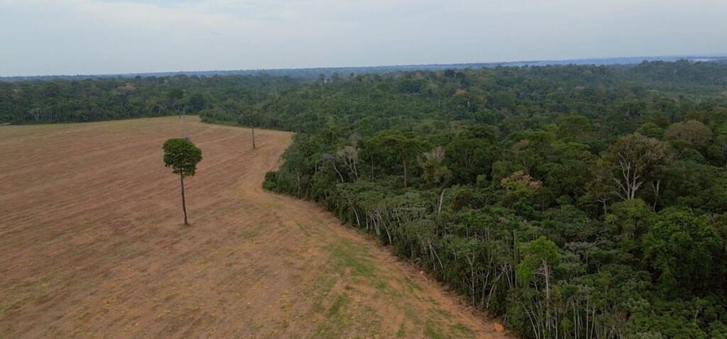 forêt - La forêt amazonienne du Brésil menacée alors que des protections essentielles sont en danger