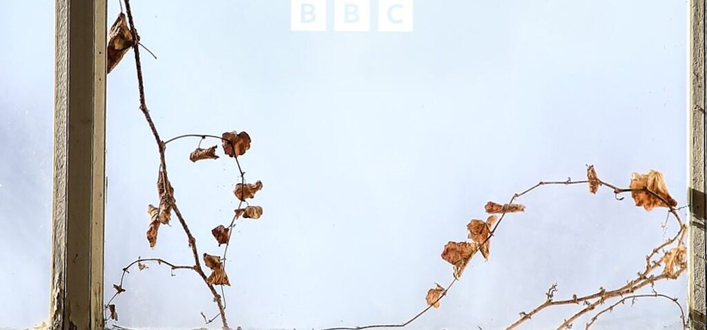 Illuminé - Illuminé