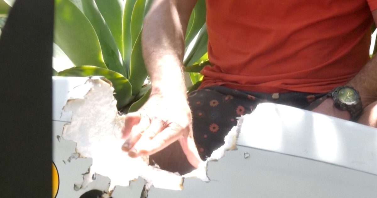 véliplanchiste - Regardez : Un véliplanchiste australien échappe à une attaque de requin