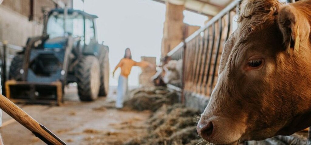 Équivalent - Les Libéraux-Démocrates Appellent à un Équivalent Agricole du Programme Teach First
