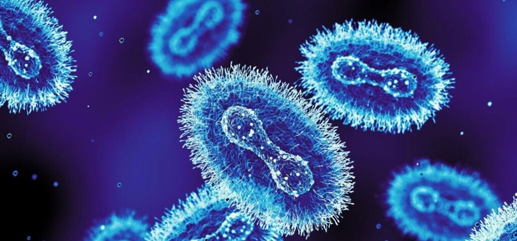 Mpox - Nouvelle souche de Mpox identifiée en Angleterre