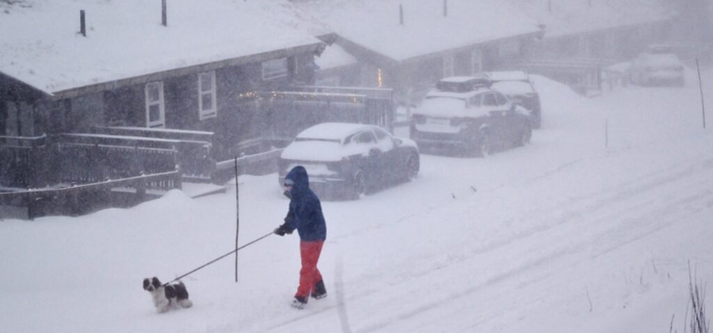 tempête - Trois morts en Suède lors d'une tempête majeure balayant les pays nordiques