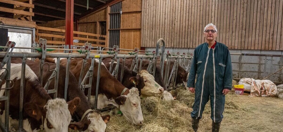 Épidémie - « On a Fait Tout Le Nécessaire Pour Endiguer L’Épidémie » : Comment La Savoie A Éradiqué La Dermatose