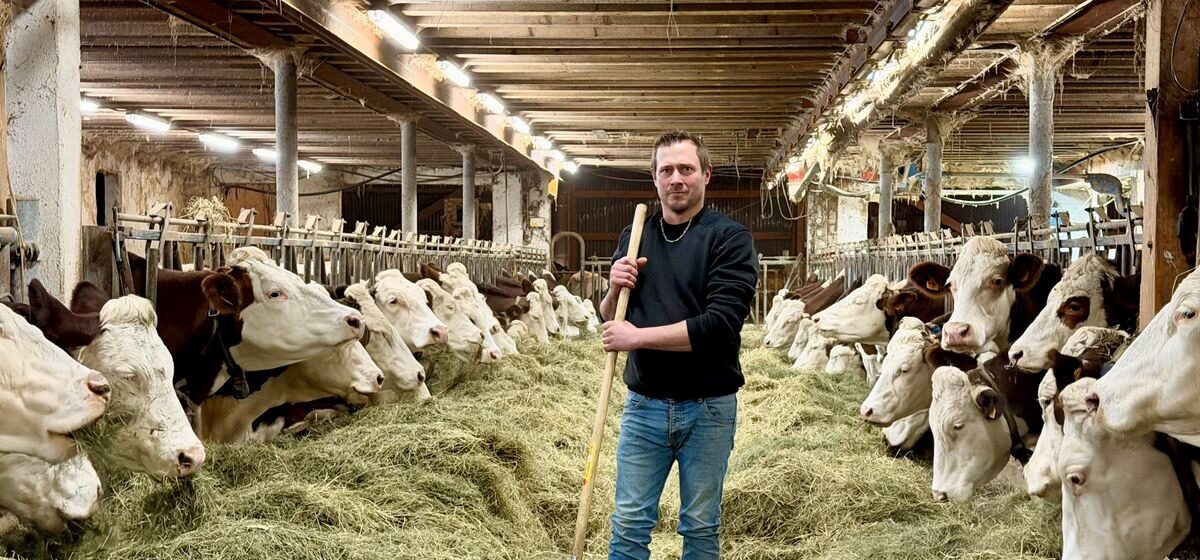 dermatose - L'ombre de la dermatose nodulaire plane sur les éleveurs de la filière Comté dans le Jura : quelles conséquences ?