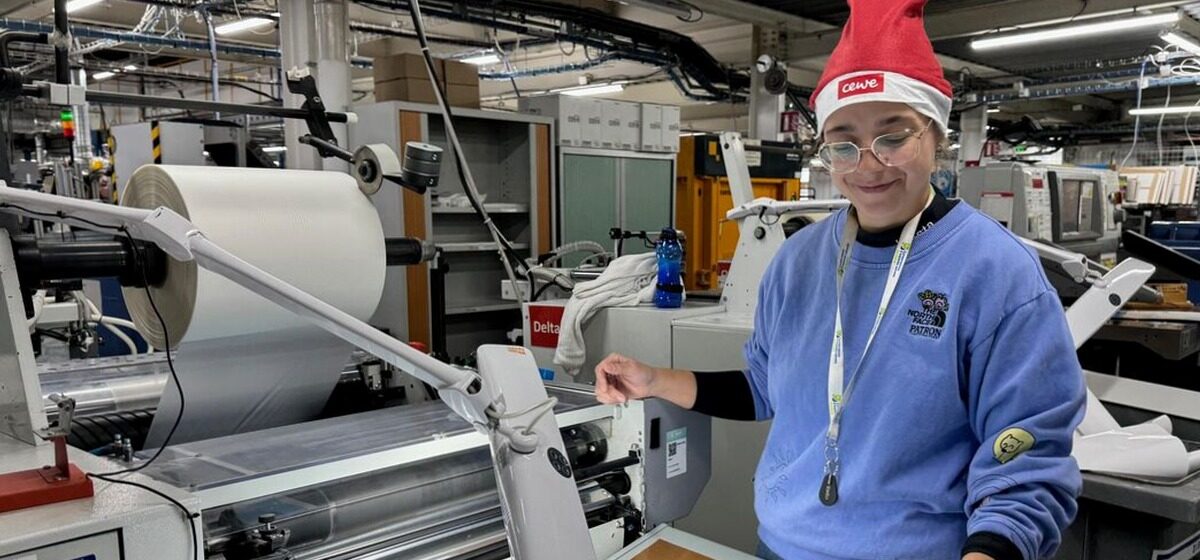 Emplois - Des Emplois Précaires Mais Indispensables Pour Des Fêtes Réussies : Qui Sont Les Petits Lutins De Noël ?