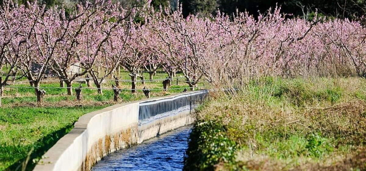 débit - Après une longue bataille technique et judiciaire, le débit réservé d'un fleuve des Pyrénées-Orientales est enfin déterminé