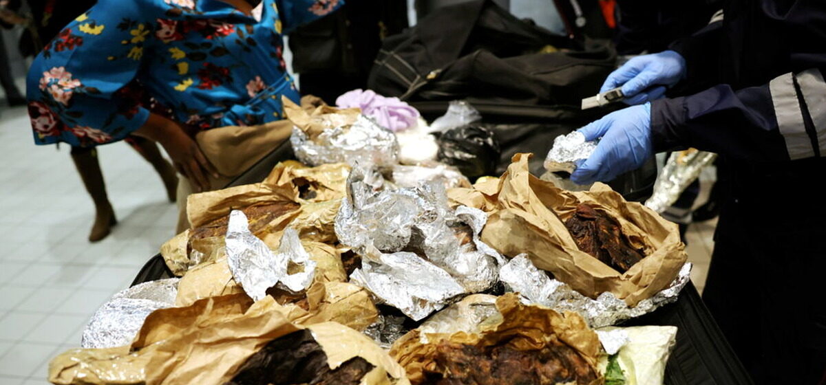 Trafic - Tigres, Singes, Oiseaux et Pangolins : Le Trafic d'Animaux Vivants Atteint de Nouveaux Records en 2025