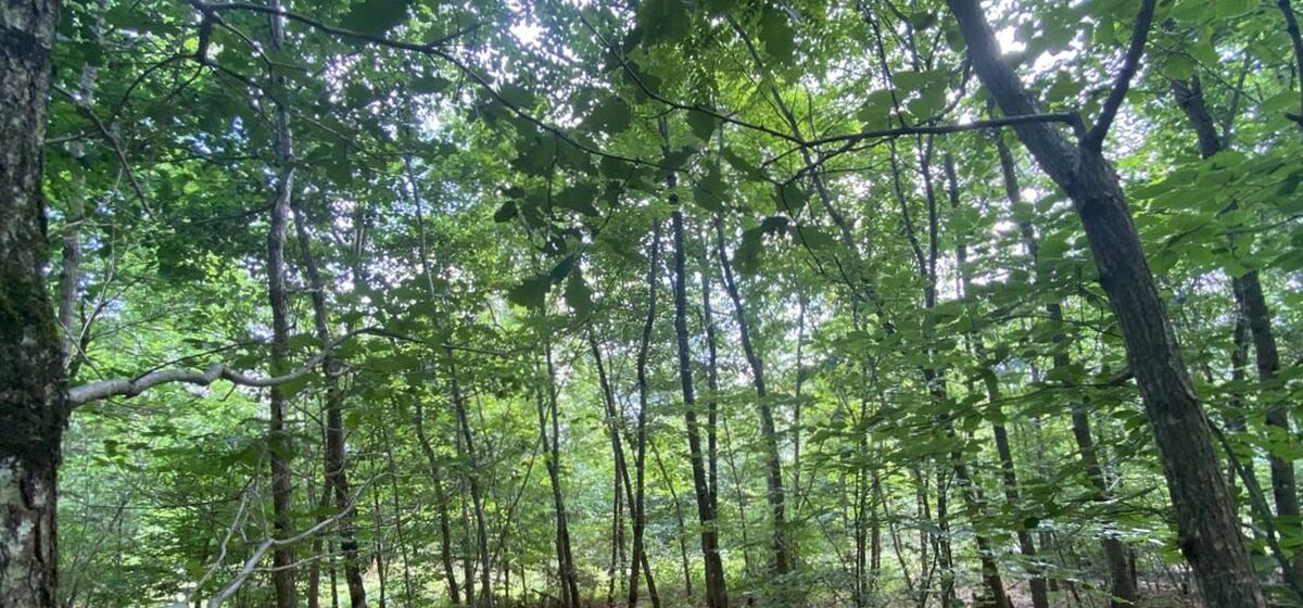 assassinat - La Ville-du-Bois : 28 ans de réclusion criminelle pour l'assassinat de son mari avec son amant