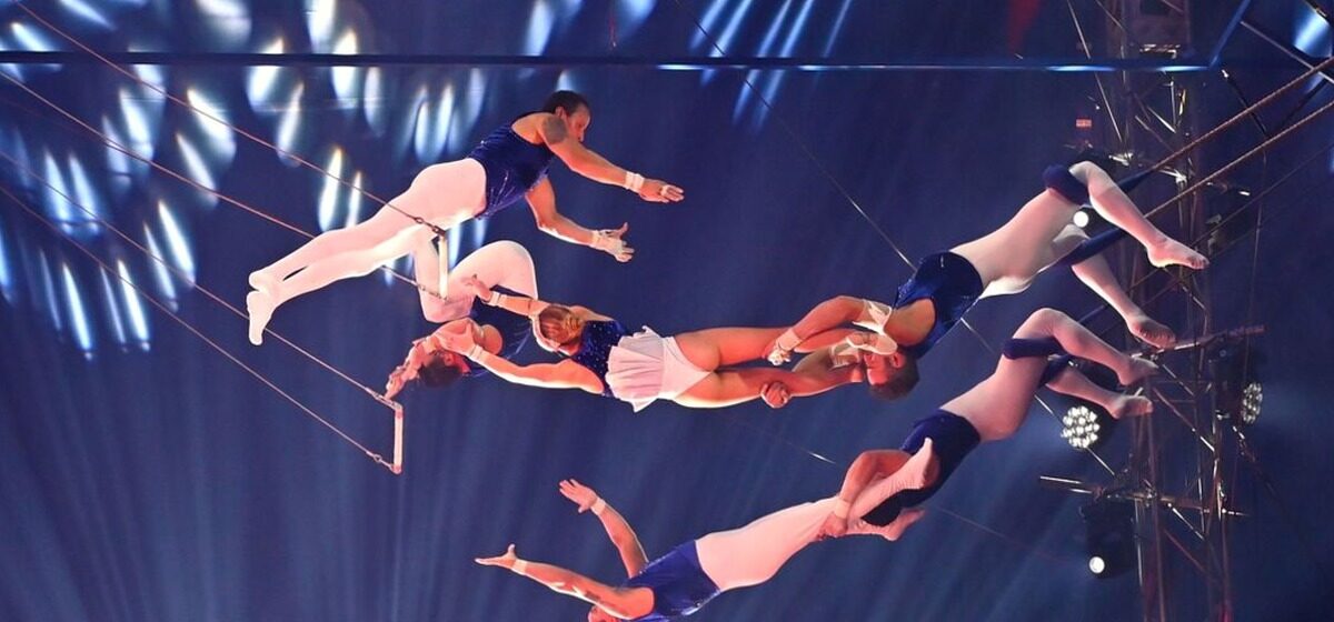 Enfants - Haute-Garonne : Que Faire Avec Les Enfants Pendant Les Vacances De Noël ?