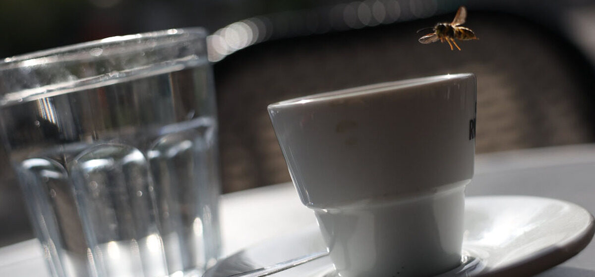 substance - « Une substance pour la maîtriser lors d’un rapport » : un Britannique accusé d'avoir drogué et violé son ex-femme pendant 13 ans