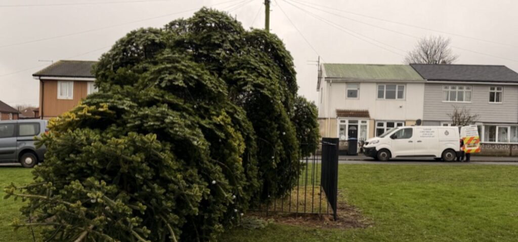 arbre - Des hommes arrêtés après la destruction de l'arbre de Noël du village