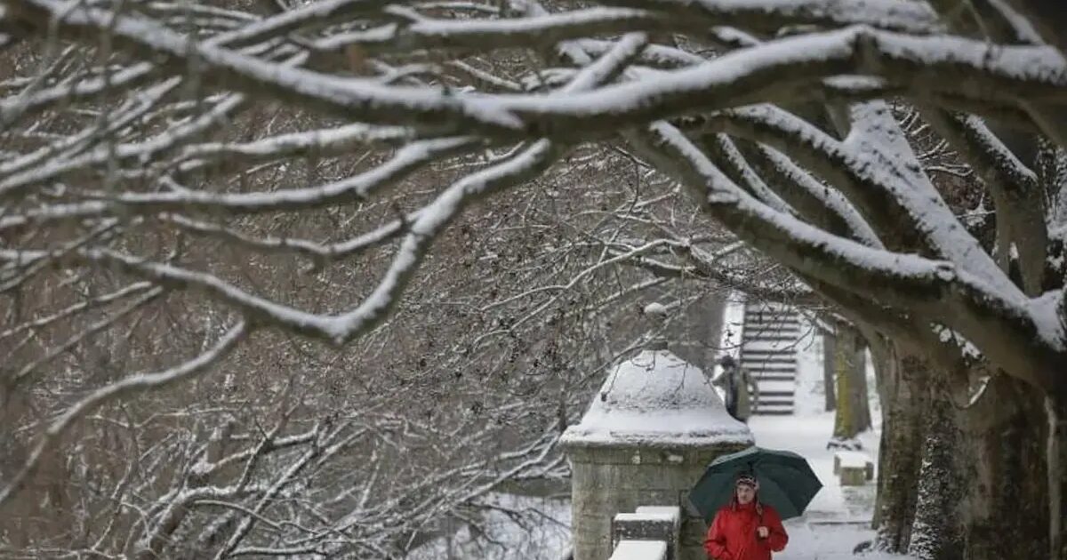 neige - Sigue le Frío : Ce mercredi, des chutes de neige sont attendues en zones basses, avec des gelées et du vent sur les littoraux.