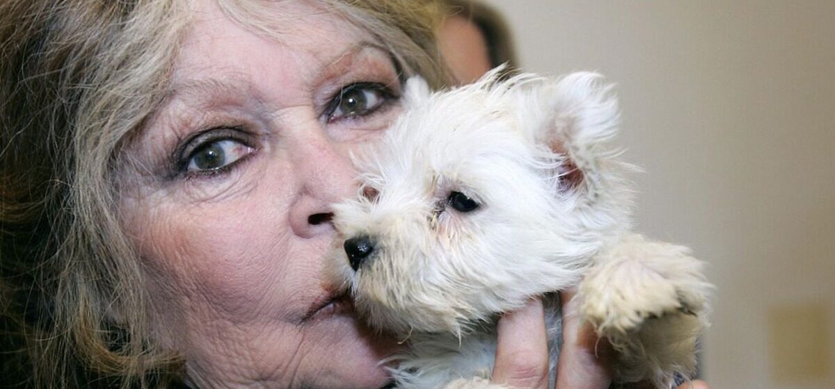 Combat - « Le Combat Continuera, Avec Ou Sans Moi » : Le Dernier Message de Brigitte Bardot sur l’Avenir de Sa Fondation