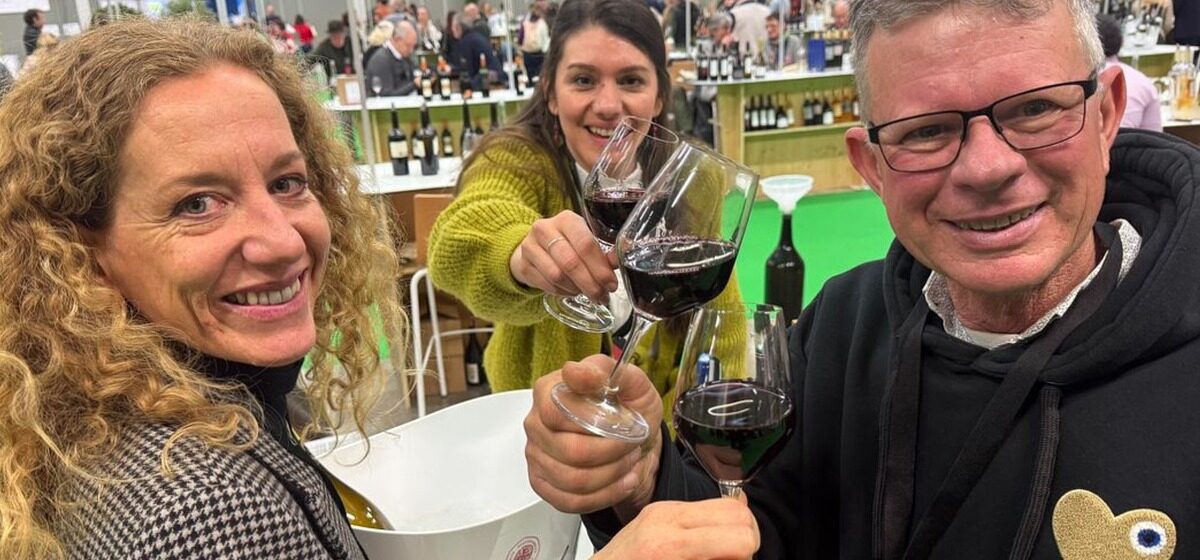 Vins - Vins bios : Les producteurs catalans font preuve de résilience face à la baisse