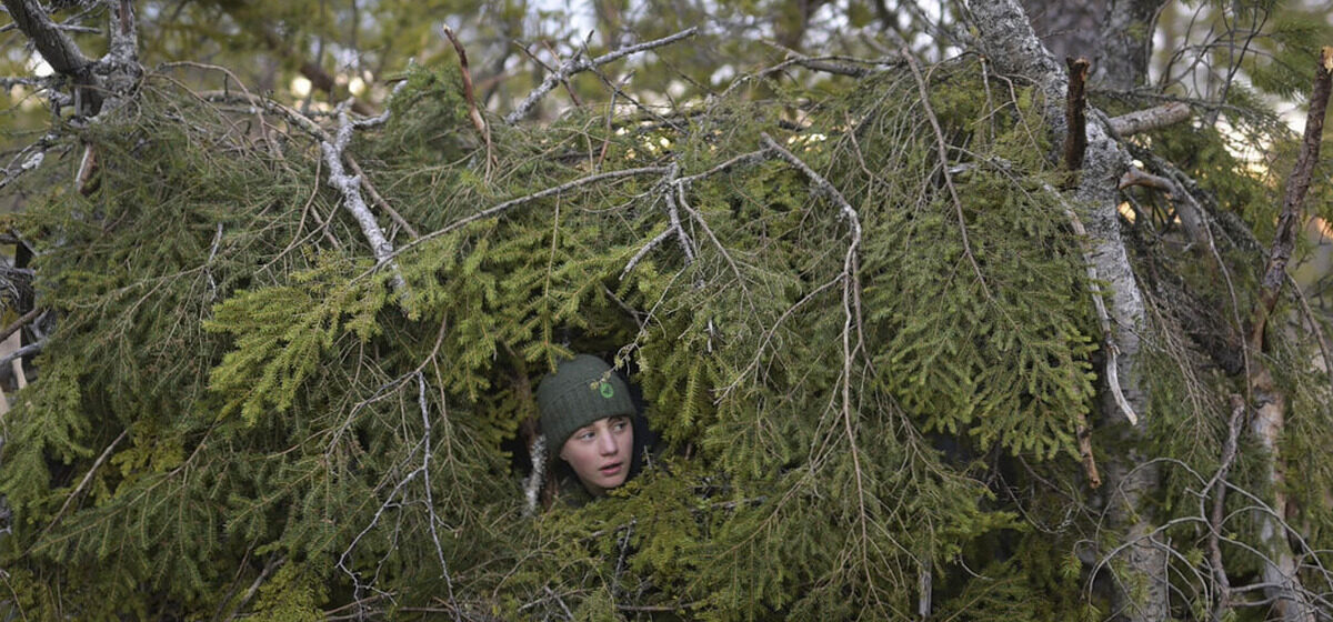 film - « C’est un film plein de sérénité, qui fait du bien » : Pourquoi le « Chant des forêts » séduit-il les foules ?