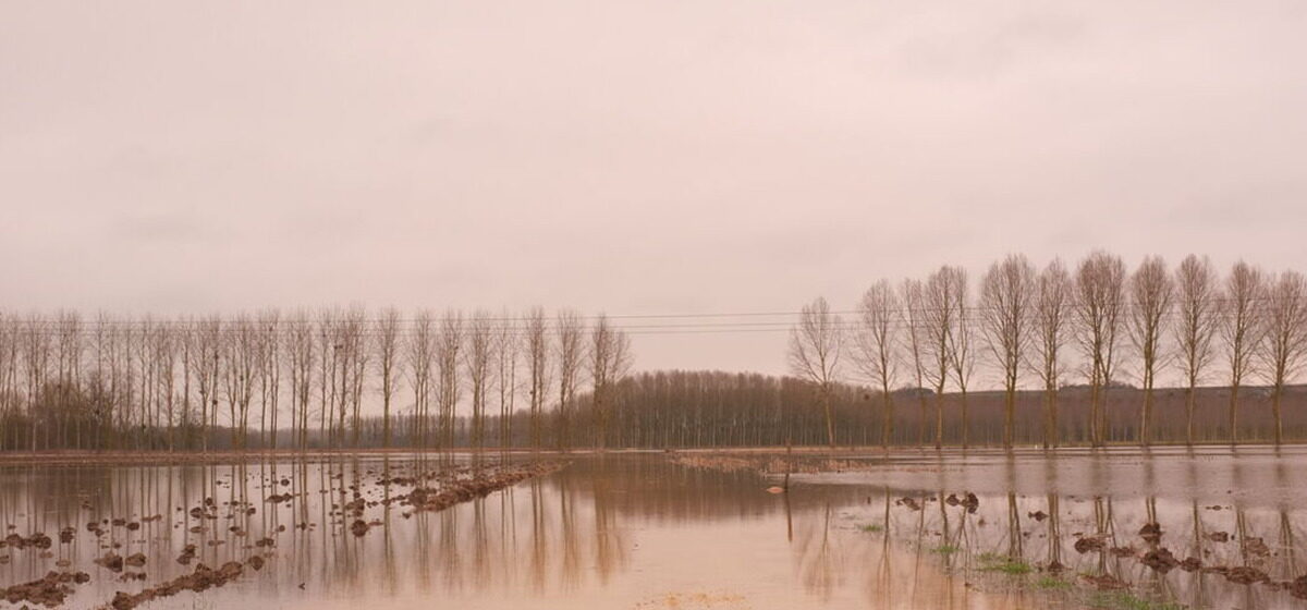 Eau - « Un Niveau Critique à L’horizon 2050 : Les Pays De La Loire Face à Une Crise De L’eau »