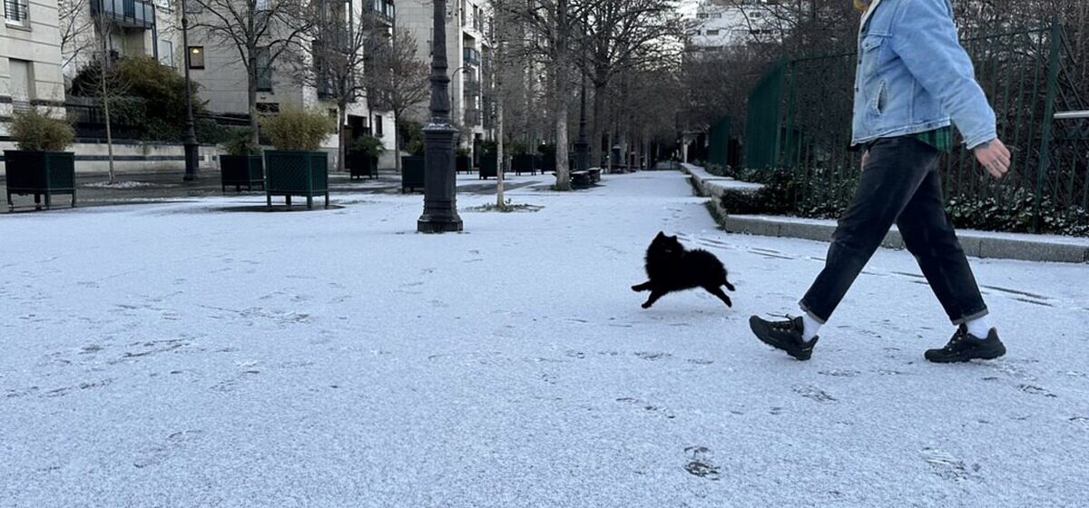 risque - « Un petit risque de vague de froid » : Comment se protéger face à l'épisode hivernal prolongé ?