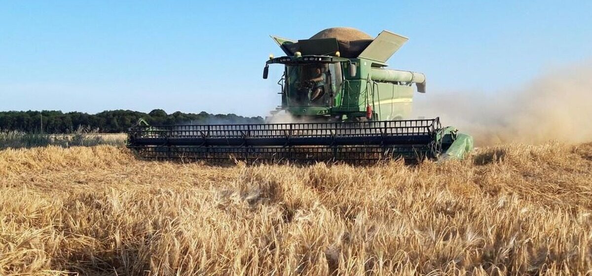 céréaliers - « On Arrive Au Bout » : Pourquoi les céréaliers ne sont plus considérés comme les « nantis » de l’agriculture ?