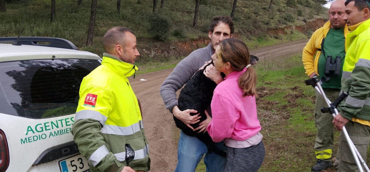 chien - Boro, le chien disparu dans la collision de trains ayant causé 45 morts en Espagne, retrouvé plusieurs jours après le drame