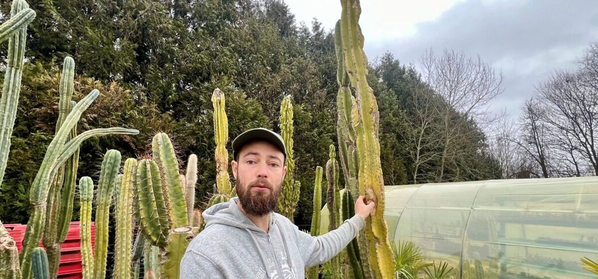 cactus - « Ils ont été cassés, écrasés, broyés par le vent » : les cactus de Normandie n'ont pas survécu à la tempête Goretti.